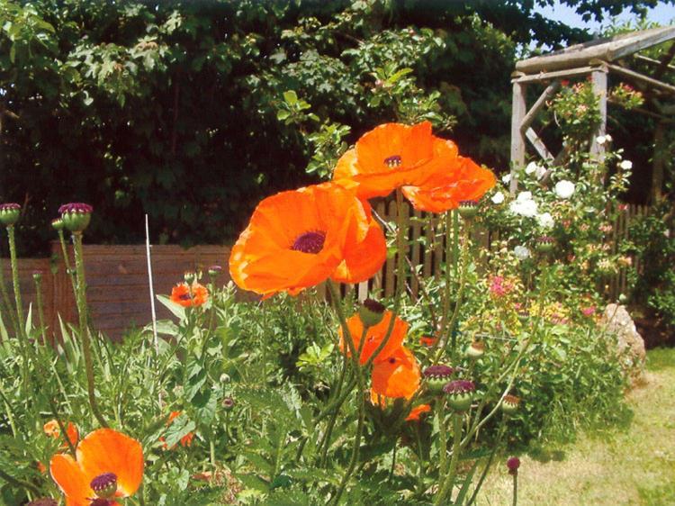 Wheelwrights Bed & Breakfast Abbotsbury Exterior photo